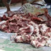 Membagikan Keadilan: Mengatasi Tantangan dalam Pembagian Daging Qurban