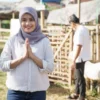 Persiapan dan Tradisi dalam Memilih Hewan Qurban