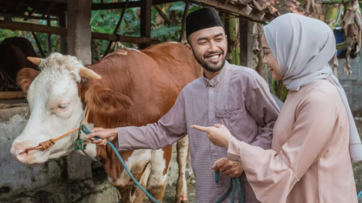 Tips Merawat dan Memilih Hewan Qurban Sebelum Hari Raya