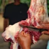 Etika dan Tata Cara Pembagian Daging Qurban