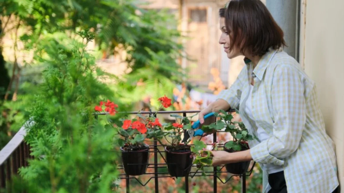 Cara Mendesain Taman di Rumah yang Menawan dan Fungsional