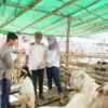 Keutamaan dan Pahala Amalan di Hari Raya Idul Adha: Menuai Kebaikan dari Ibadah Kurban