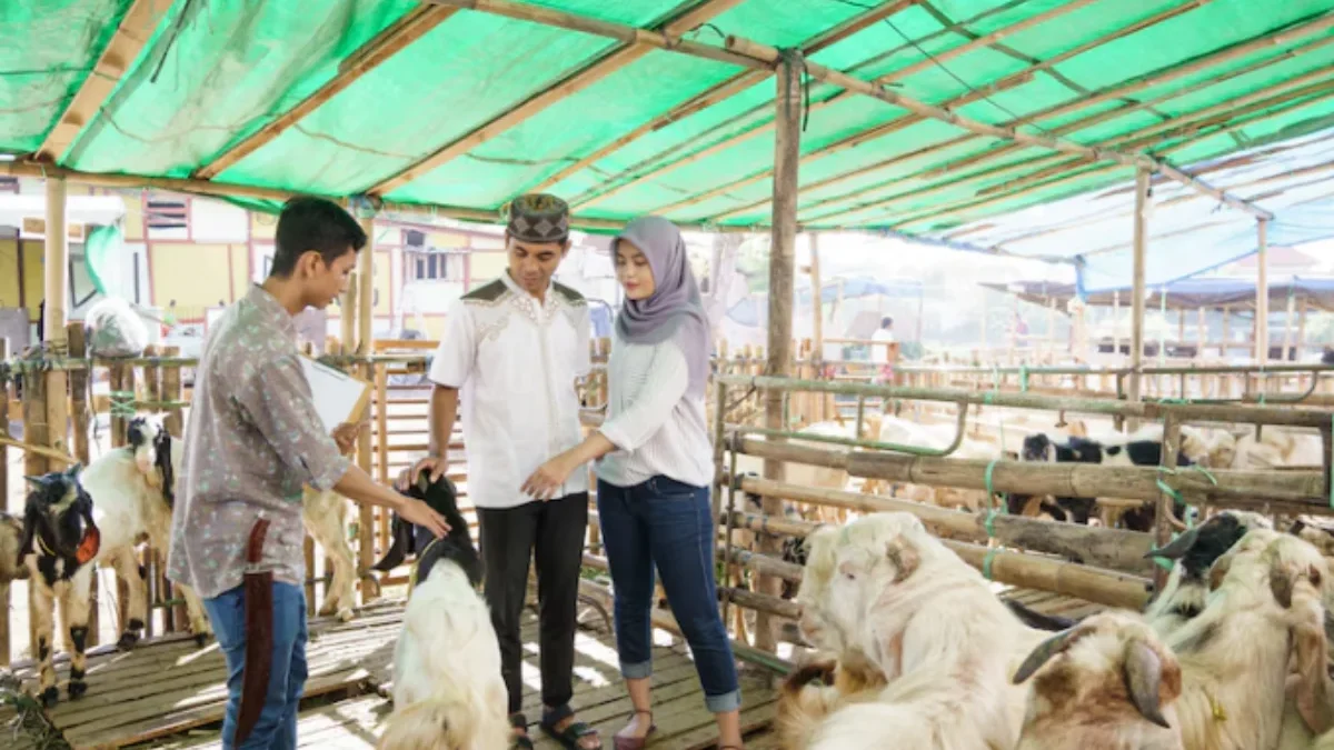 Keutamaan dan Pahala Amalan di Hari Raya Idul Adha: Menuai Kebaikan dari Ibadah Kurban