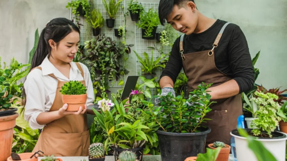 Cara Membuat Taman Vertikal di Rumah dengan Mudah