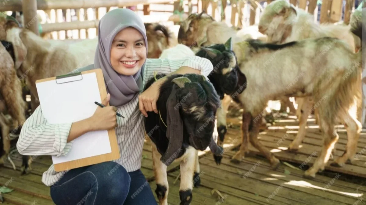 Panduan Praktis Memilih Hewan Qurban yang Berkualitas