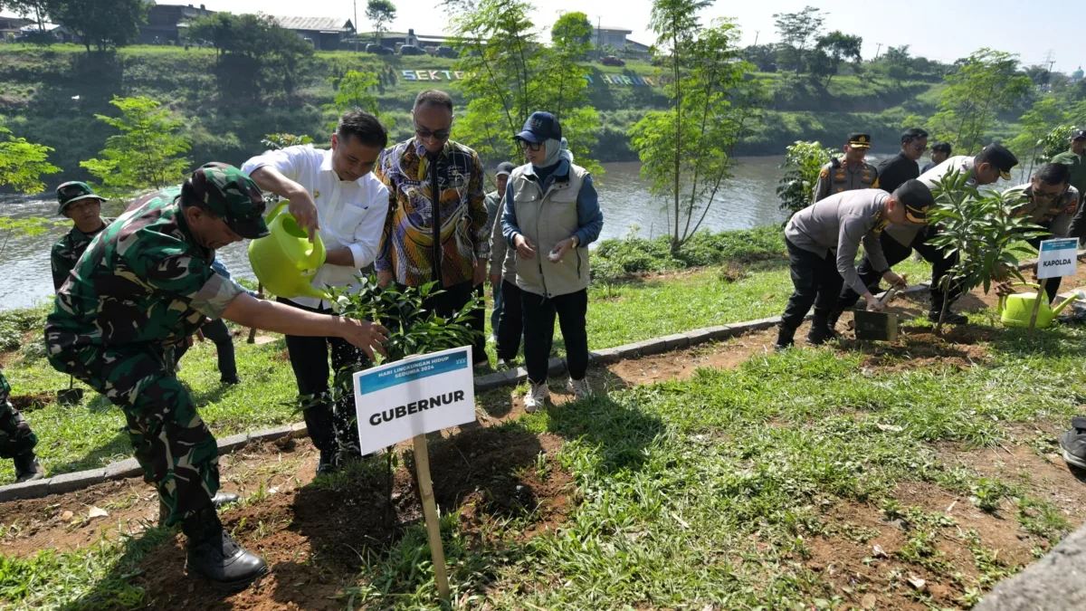 hari lingkungan hidup