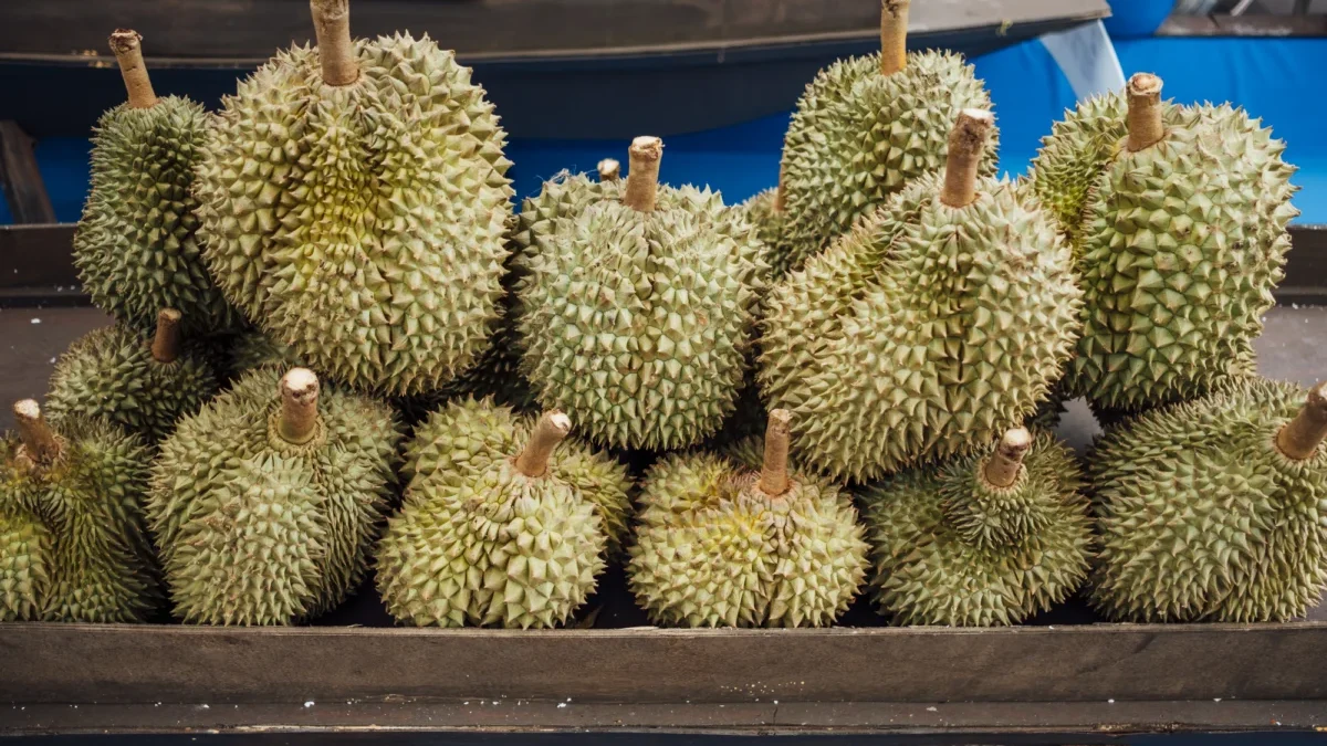 Tips Memilih Durian yang Matang dan Lezat: Panduan bagi Pecinta Durian