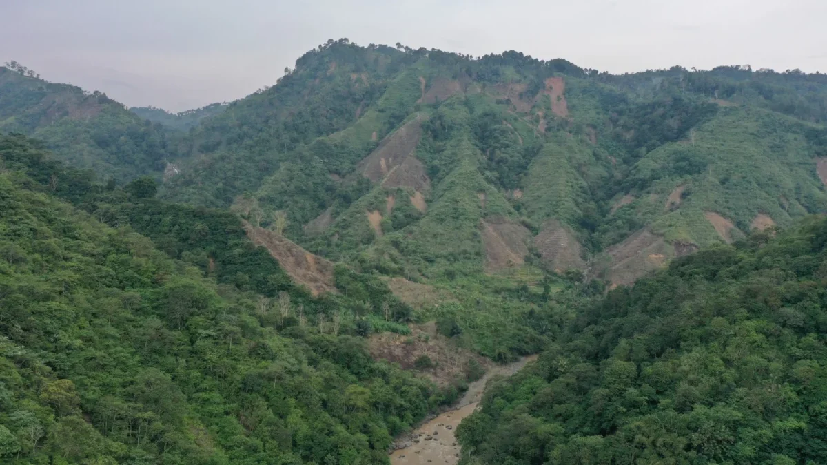 PLN Pastikan Penanaman Konservasi Hutan di Sekitar PLTA Upper Cisokan Terus Berjalan