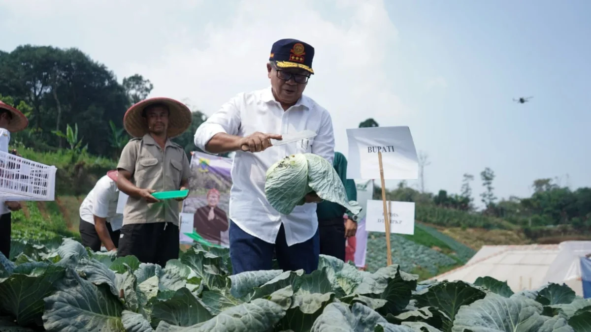 Bupati Cianjur Herman Suherman