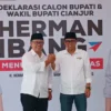 Herman-Ibang