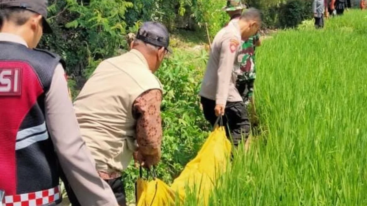 Sesosok Mayat Pria Ditemukan Mengambang di Sungai Cijati Kecamatan Cilaku Cianjur Mayat
