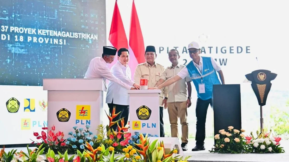 PLN