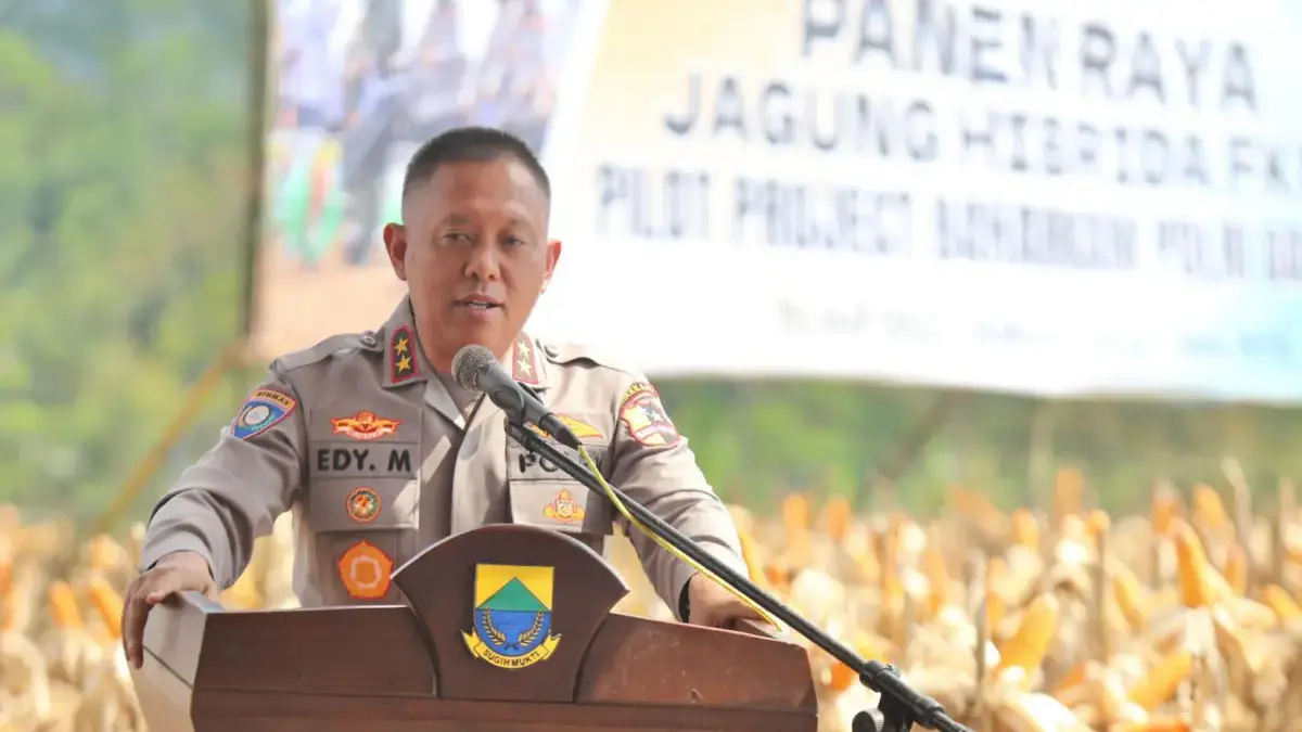 Panen jagung