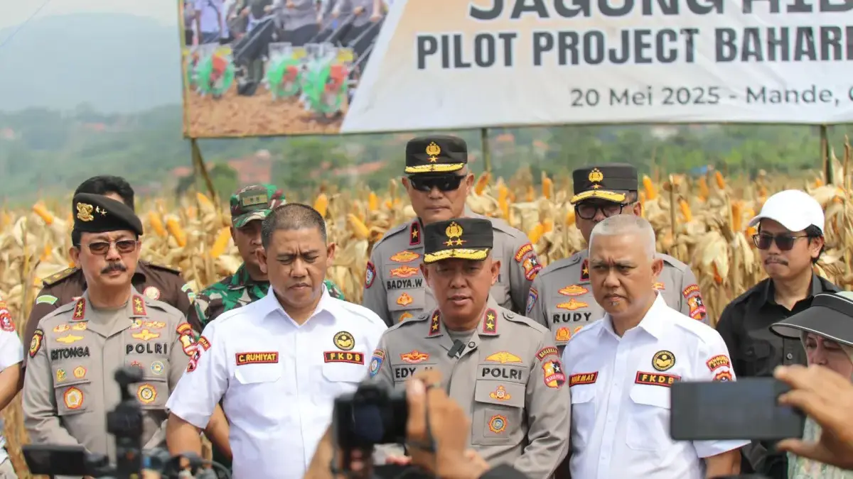 Panen jagung