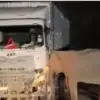 Anak Gajah