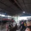 Jadwal Kereta Api