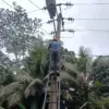 Fiber Optik