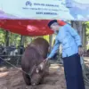 Dari Presiden