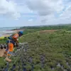 Perbaikan