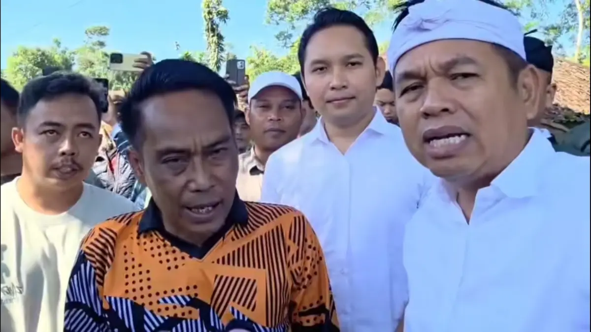 Penebangan hutan