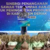Benih padi