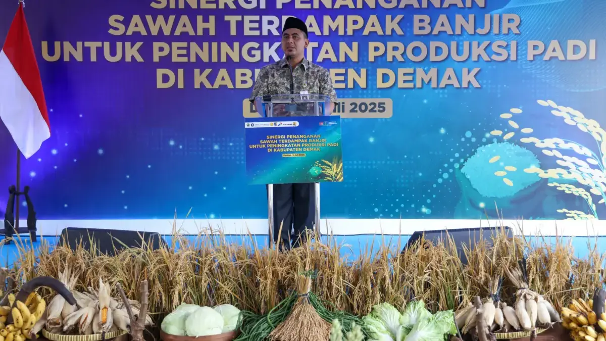Benih padi