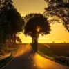 7 Tips Aman Naik Motor