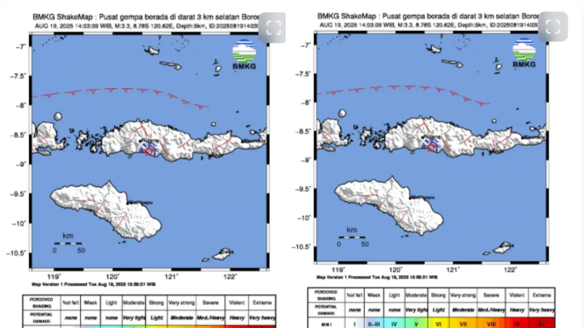 Gempa Magnitudo 3,3 Guncang Borong, NTT, Kedalaman 5 Km