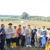 Panen Jagung