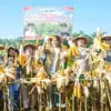 Panen Jagung