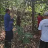 Damkar Cianjur Buru Lutung yang Masuk Permukiman dan Kejar Anak-anak 