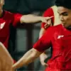 Timnas