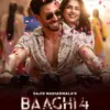 Sinopsis Film Baaghi