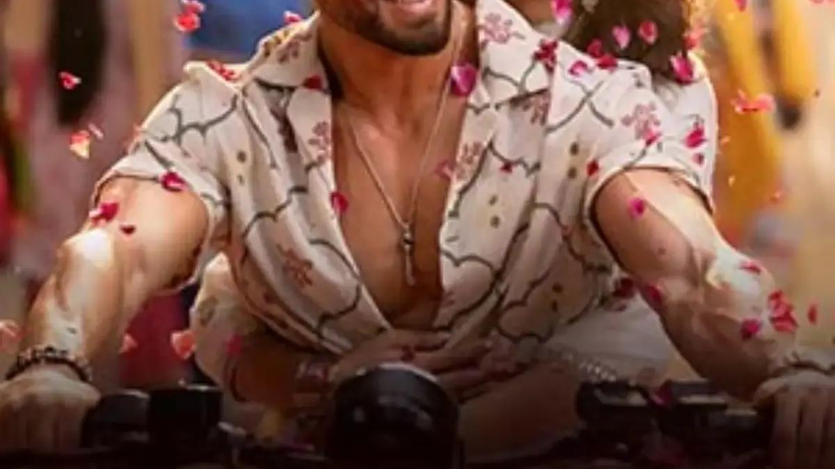 Sinopsis Film Baaghi