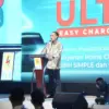 Pln
