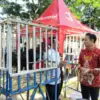 Ayam Pelung