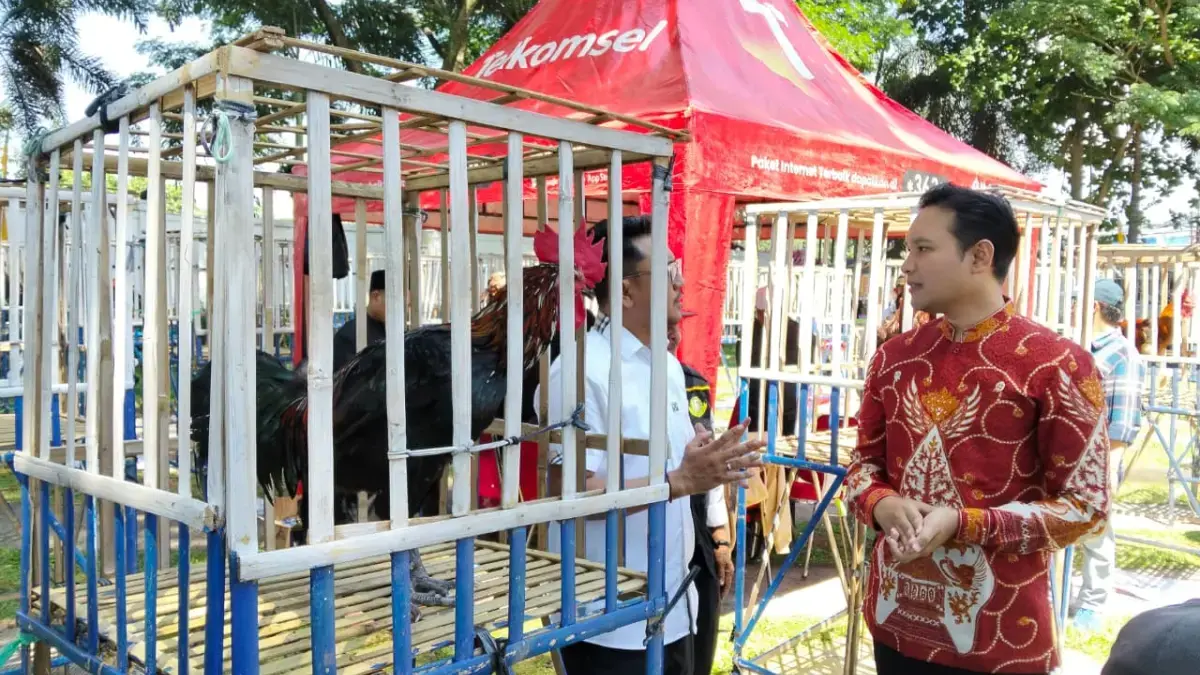 Ayam Pelung
