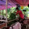 Harga Kambing di Cianjur