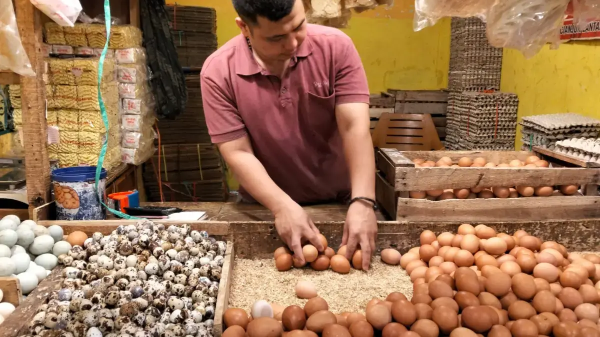 Pedagang Telur