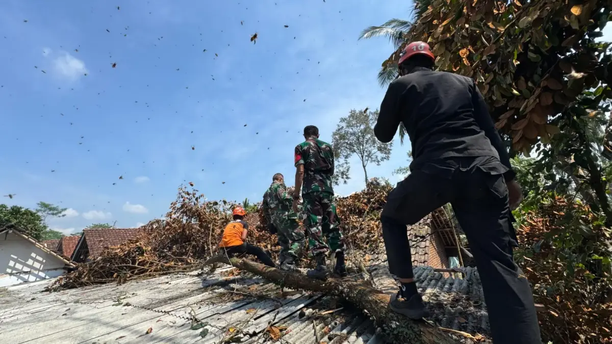 Perkembangan Terkini Bencana