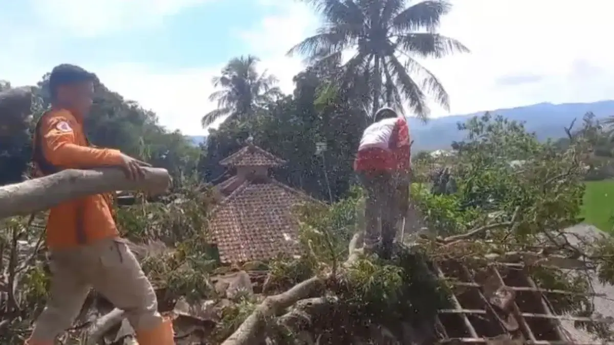 Dua Rumah Rusak Tertimpa Pohon Tumbang di Cianjur, Warga Mengungsi