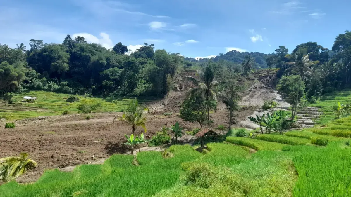 BPBD Cianjur Tunggu Hasil Kajian PVMBG Tangani Pergerakan Tanah di Desa Cibanteng Sukaresmi Pergerakan Tanah