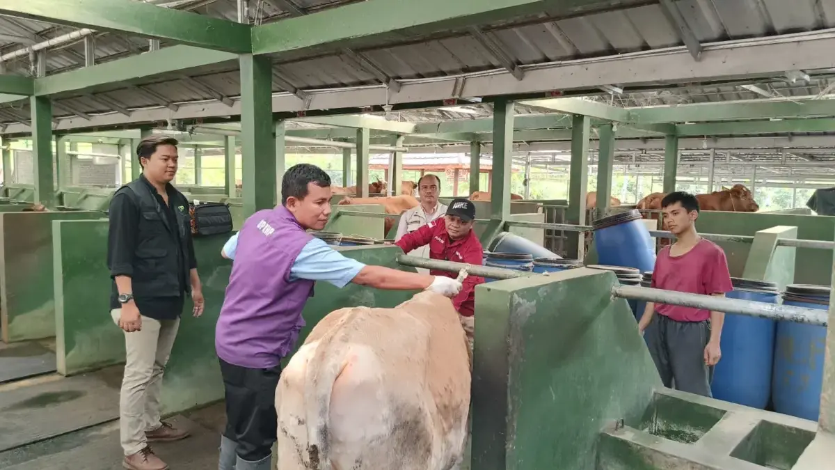 DPKHP Cianjur Perkuat Pengawasan RPH dan RPU DPKHP Cianjur