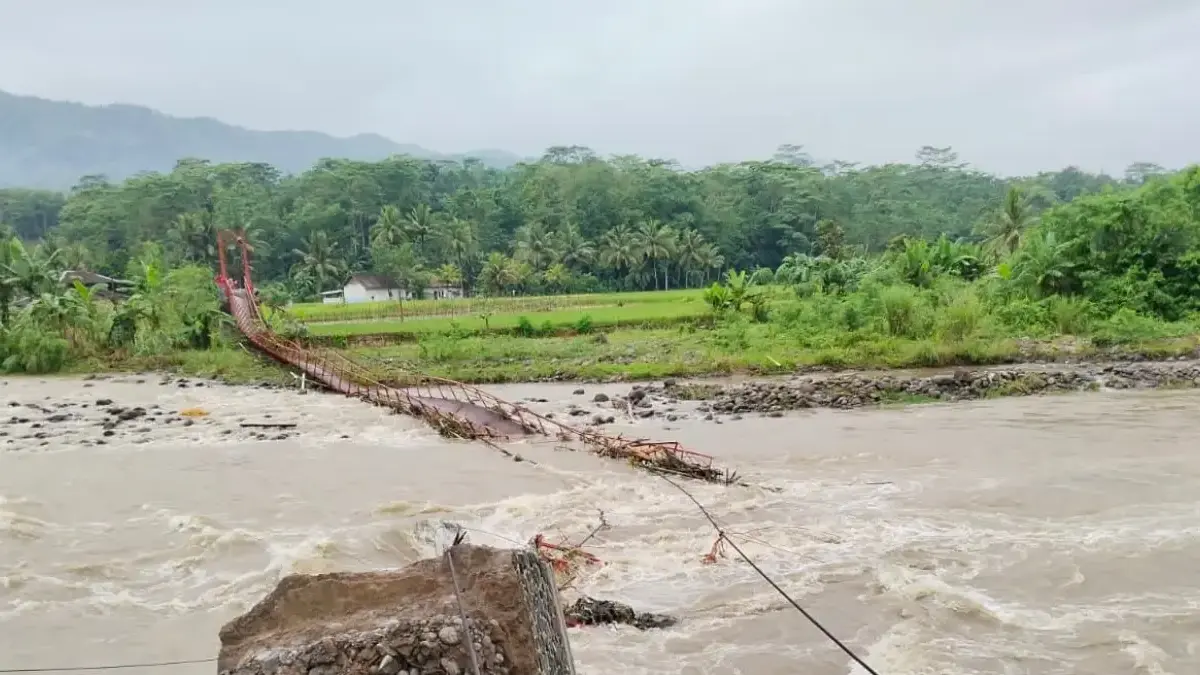 Selain Jembatan Putus, Puluhan Hektar Sawah di Kecamatan Tanggeung Rusak Akibat Sungai Cibuni Meluap sungai cibuni