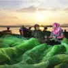 Kinerja Keuangan BRI