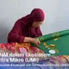 UMi