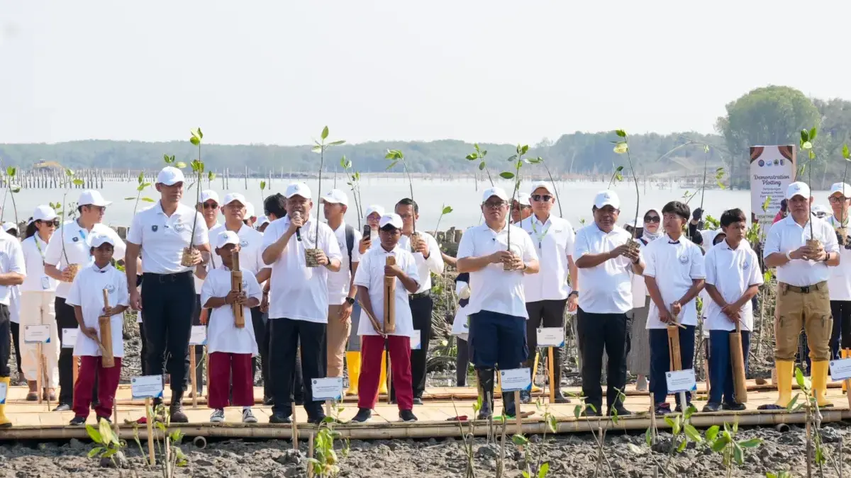Lindungi Pantai Utara dari Abrasi, BRI Tanam 30 Ribu Bibit Mangrove dan Manfaatkan Sampah Jadi Pemecah Ombak Foto Istimewa