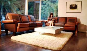 Mengatur Posisi Sofa