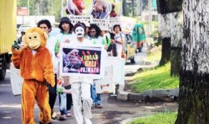 Peringatan Hari Primata - Profauna