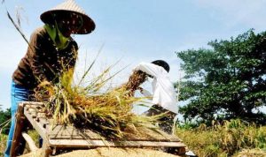 Petani Kampung Bojongloa